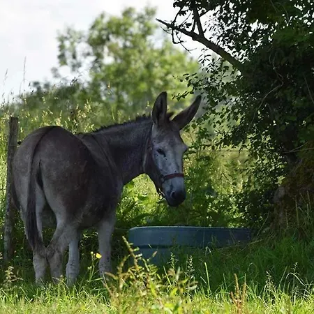 Chata La Ferme De La Folivraie Louvieres (Calvados)