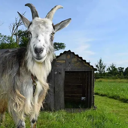 La Ferme De La Folivraie Chata *