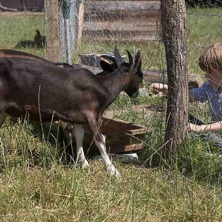 La Ferme De La Folivraie