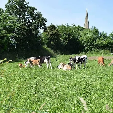 La Ferme De La Folivraie